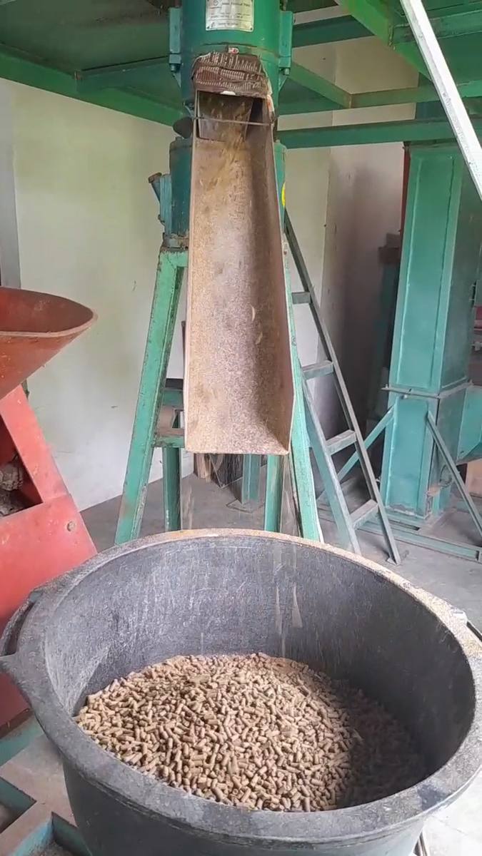 Mesin cetak pelet dan pelet ikan lele yang sudah jadi